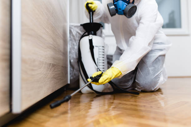 Best Best Pest Control Companies  in Stem, NC