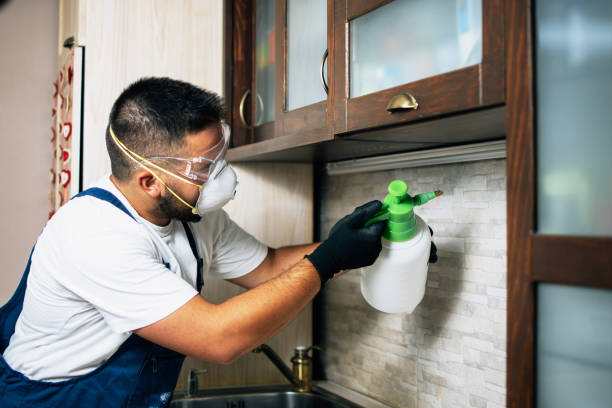 Best Ant Control Services  in Stem, NC