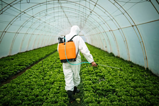 Best Pest Removal Services  in Stem, NC