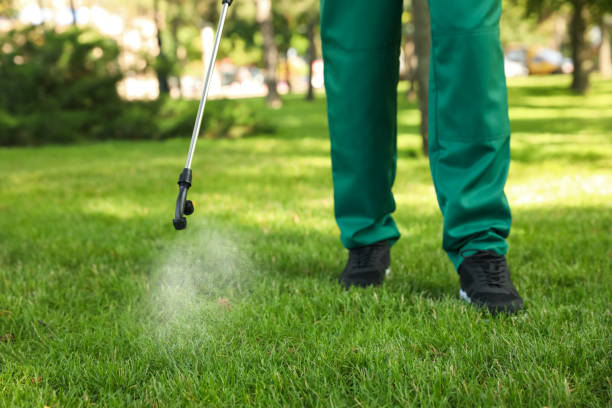 Best Pest Control Near Me  in Stem, NC