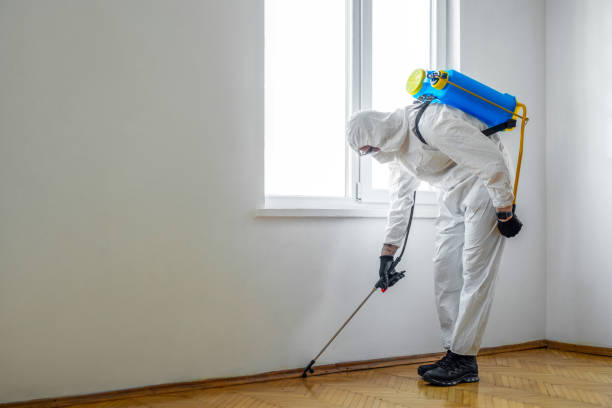 Trusted Stem, NC Pest Control Experts
