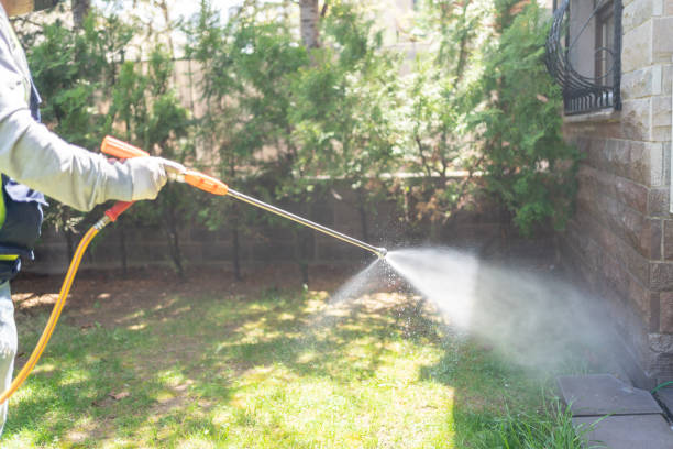 Flea Control Services in Stem, NC