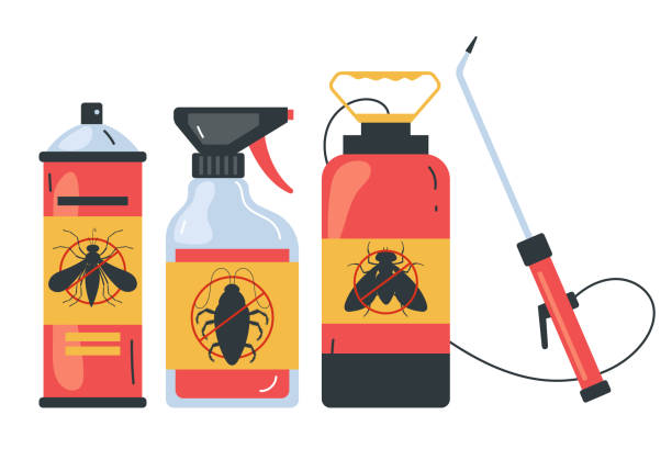 Best Wasp Removal Services  in Stem, NC