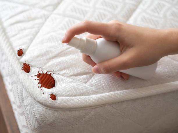 Best Pest Inspection Near Me  in Stem, NC