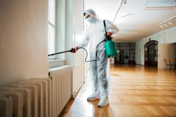Best Affordable Pest Control Services  in Stem, NC